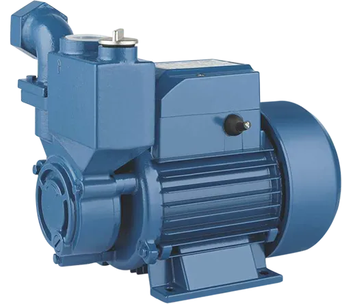 Self-priming Peripheral Pumps